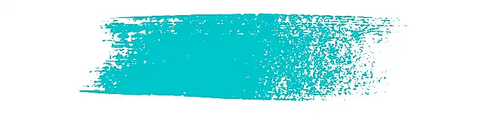 pantone 2005 color
