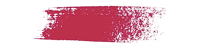 pantone 2007 color