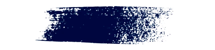 pantone 2008 color
