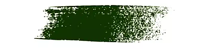pantone 2017 color